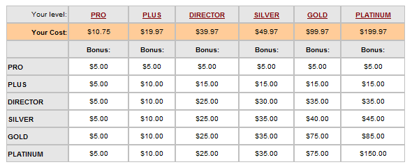 TheNPNbiz ladder system earnings chart.